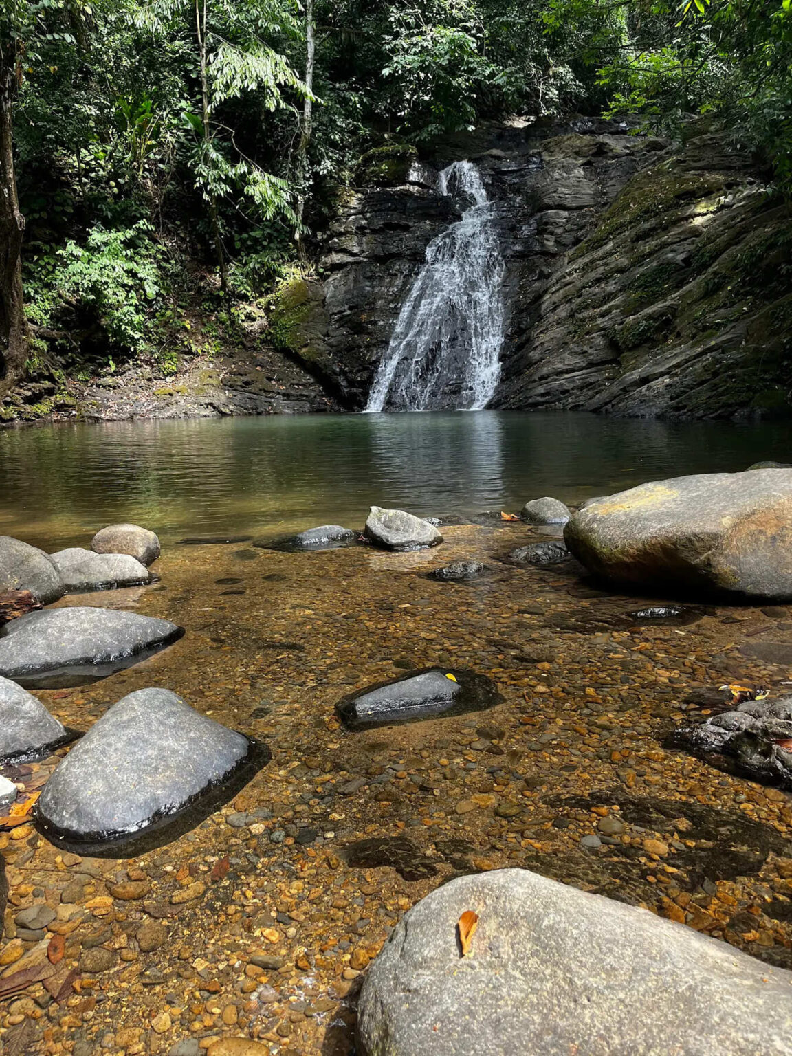 Change Your Habitat – Poza Azul trail improvement project, safer access to waterfall, low-impact public infrastructure in Dominicalito Costa Rica