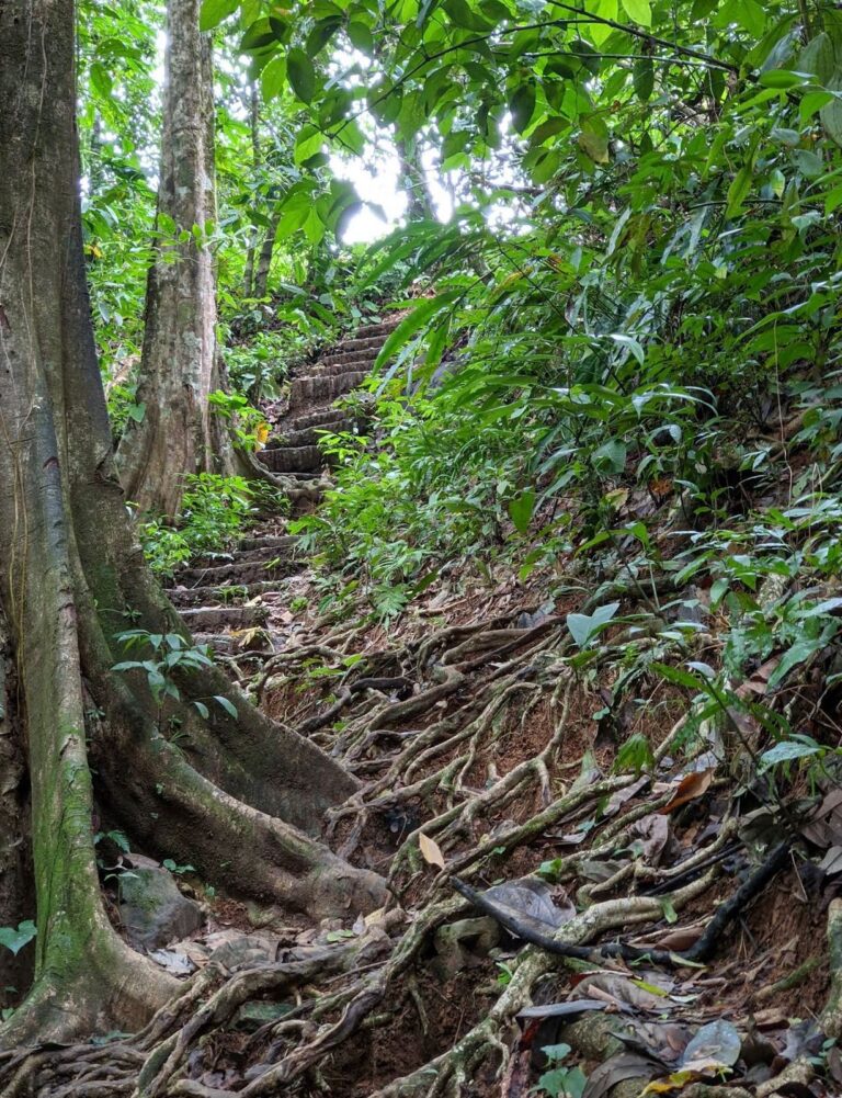 Change Your Habitat – Poza Azul improvement project, safer access to waterfall, low-impact public infrastructure in Dominicalito Costa Rica