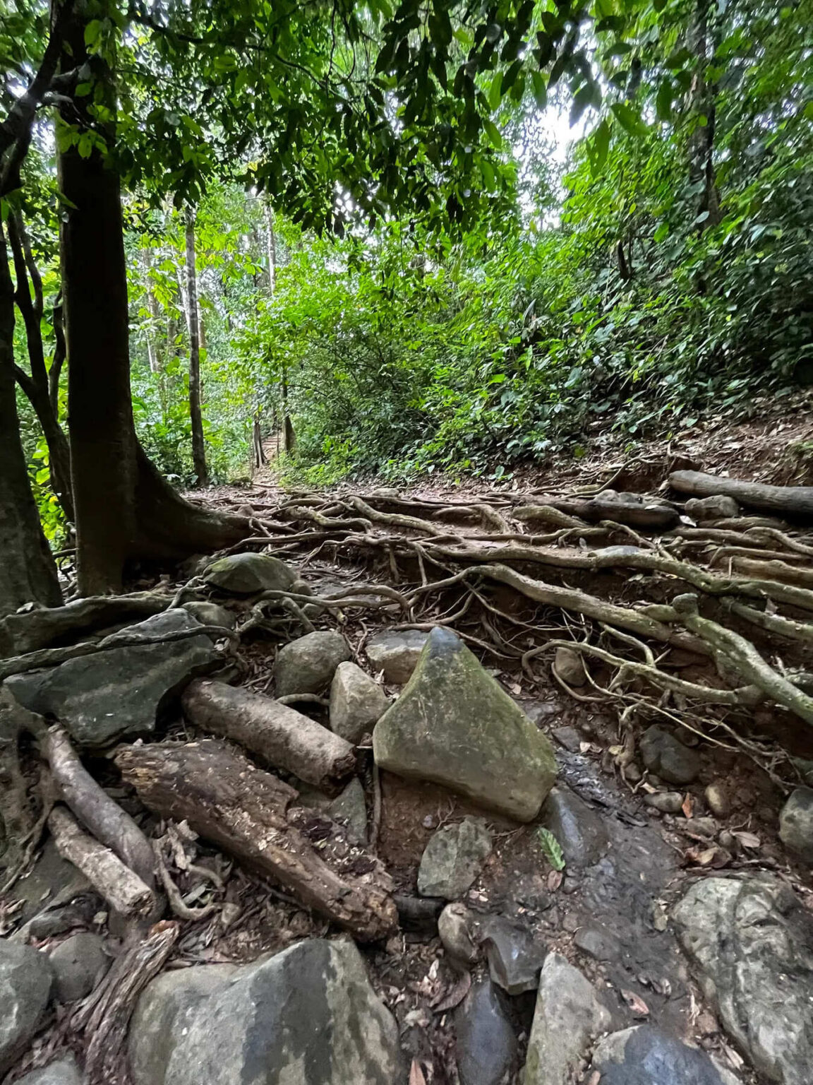 Poza Azul Revitalization Project by Change Your Habitat – community impact design, public space safety, environmental education, responsible tourism in Costa Rica