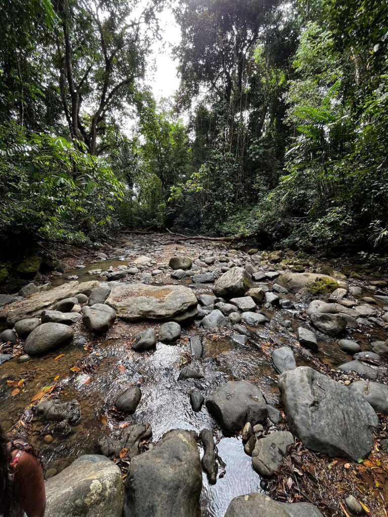 Poza Azul Dominicalito Costa Rica – Change Your Habitat public space project, waterfall access improvement, sustainable landscape design, architects in Dominical and Southern Zone