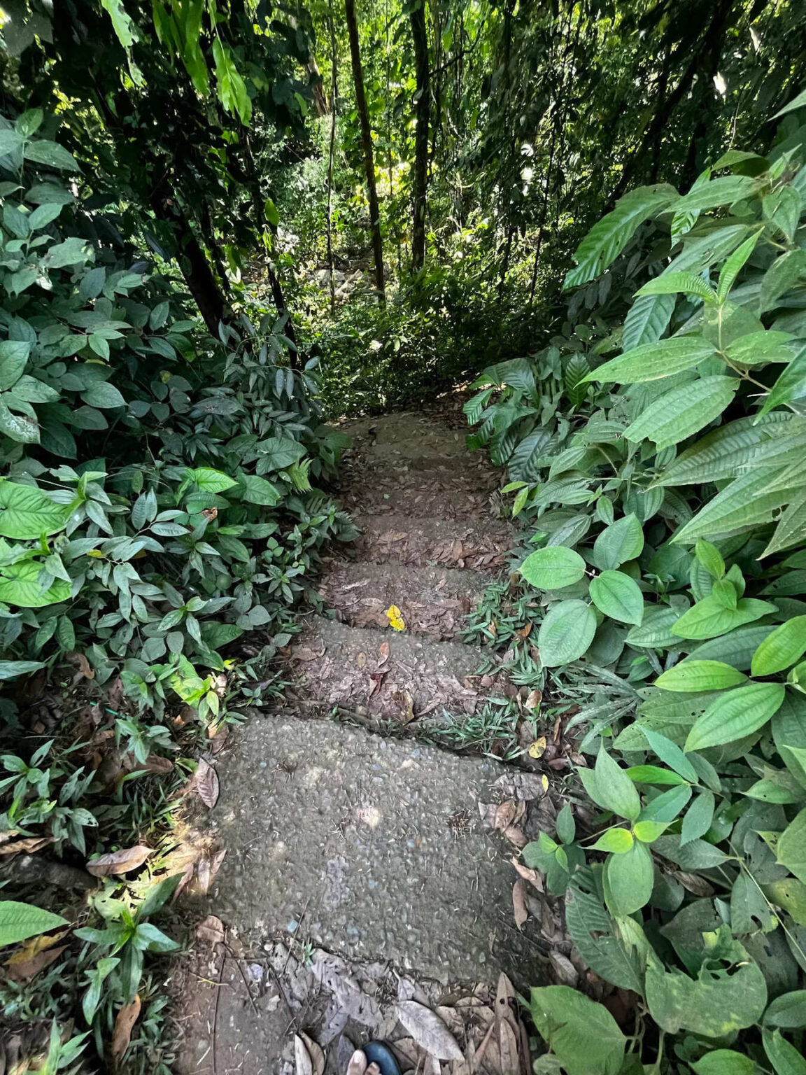 Poza Azul Dominicalito Costa Rica – Change Your Habitat public space project, waterfall access improvement, sustainable landscape design, architects in Dominical and Southern Zone